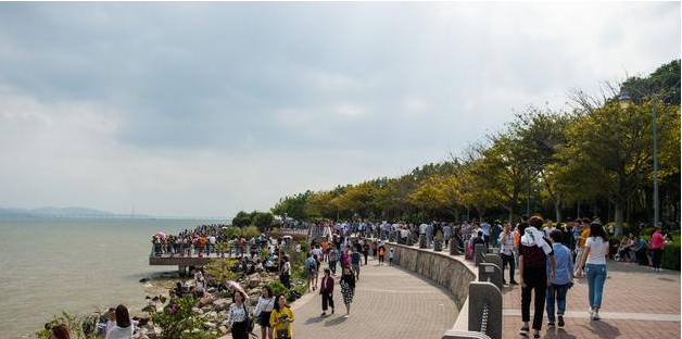 Shenzhen Bay Park