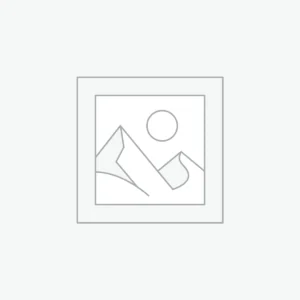 Electirc Surfboard